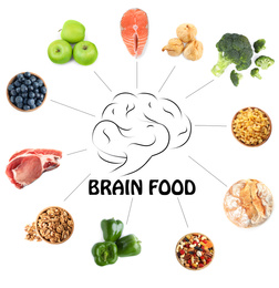 Set with different brain food on white background