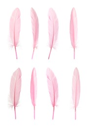 Image of Beautiful pink feathers isolated on white, set