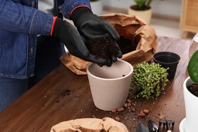 Woman in gloves filling flowerpot with soil at wooden table indoors, closeup. Transplanting houseplants