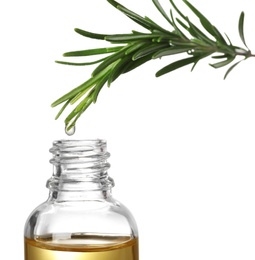 Photo of Rosemary branch with drop of essential oil over bottle against white background