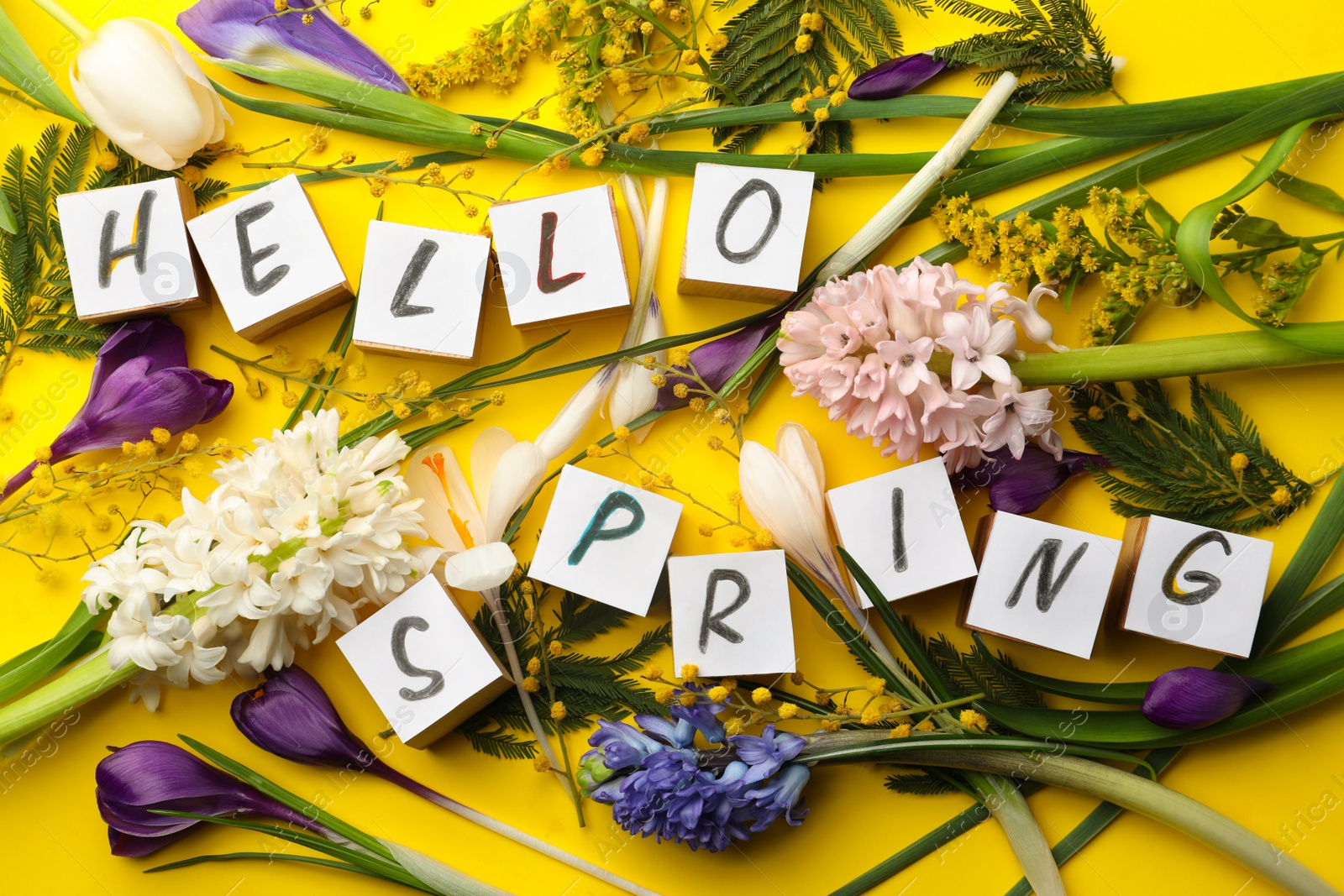 Photo of Cubes with words HELLO SPRING and fresh flowers on yellow background, flat lay