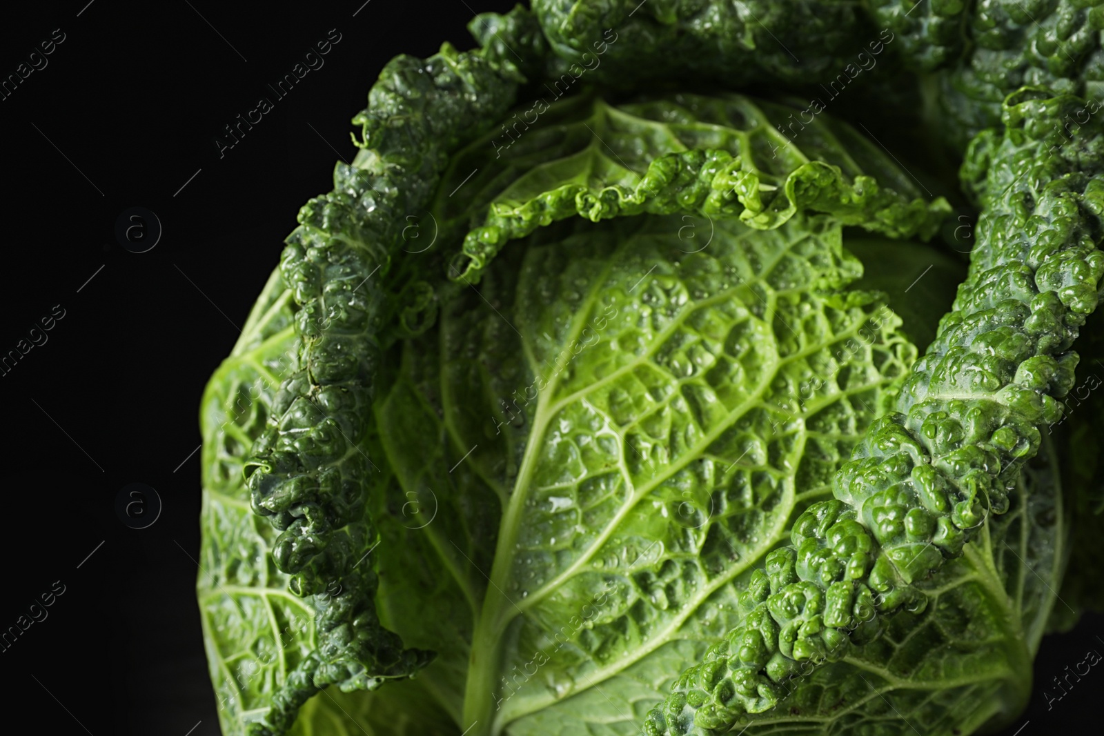 Photo of Fresh green savoy cabbage on black background, closeup