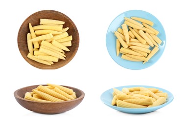 Image of Set with tasty baby corn cobs on white background