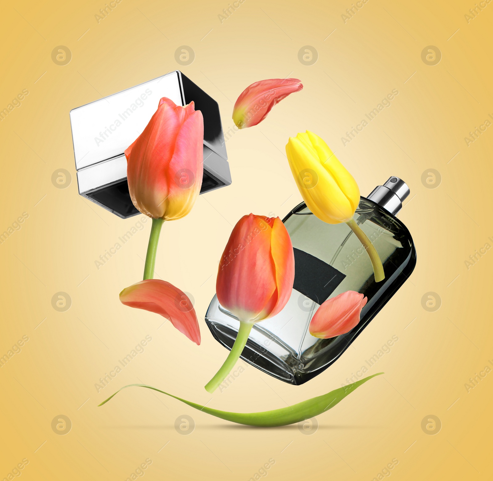 Image of Bottle of perfume and tulips in air on golden background