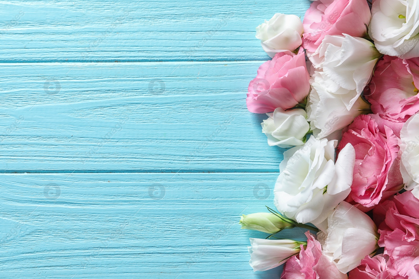 Photo of Flat lay composition with beautiful Eustoma flowers on wooden background