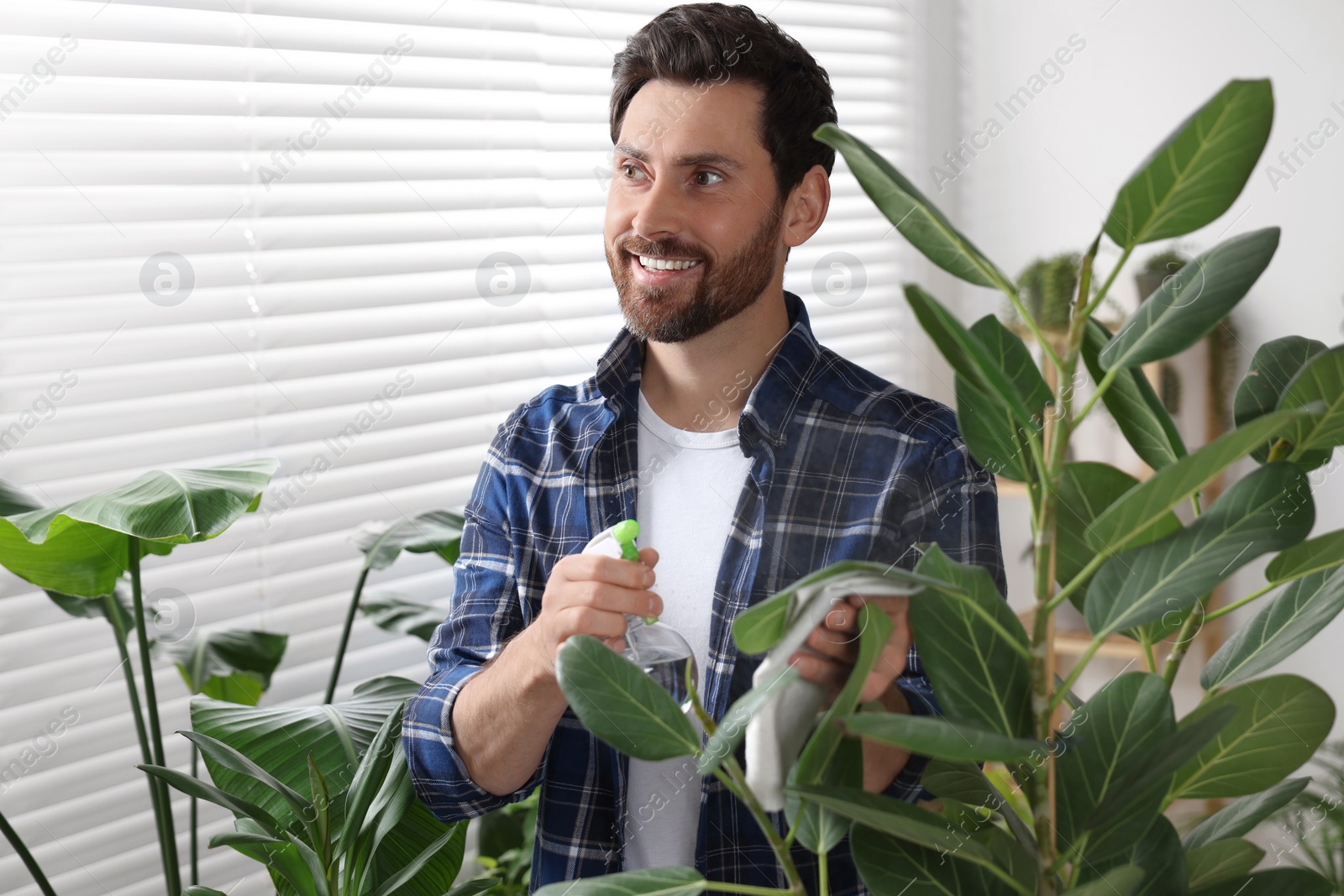 Photo of Man spraying beautiful potted houseplants with water indoors