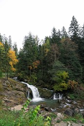 Picturesque view of beautiful stream flowing in forest