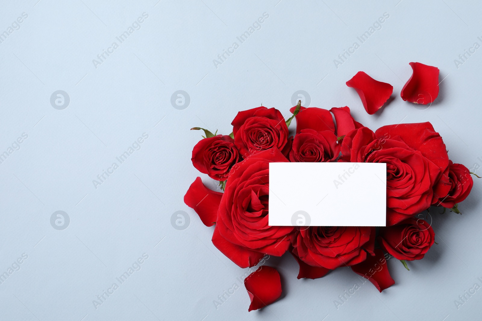 Photo of Blank card, beautiful red roses and petals on grey background, top view. Space for text