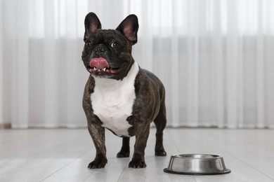 Photo of Adorable French Bulldog near bowl indoors. Lovely pet