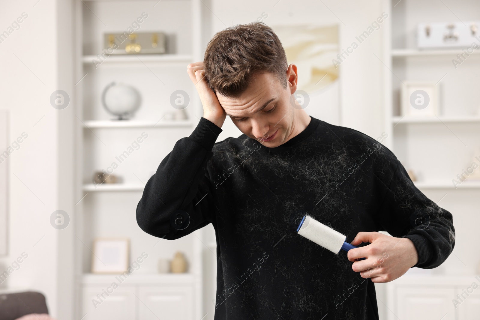 Photo of Pet shedding. Thoughtful man with lint roller removing dog's hair from sweater at home