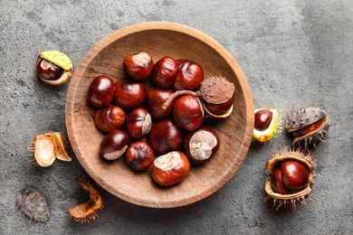 Photo of Horse chestnuts in wooden plate on grey table, flat lay