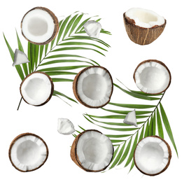 Image of Set with ripe coconuts and palm leaves on white background, top view