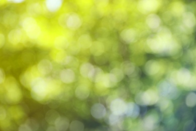 Photo of Blurred view of abstract green background. Bokeh effect