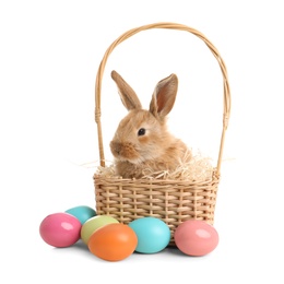 Adorable furry Easter bunny in wicker basket and dyed eggs on white background