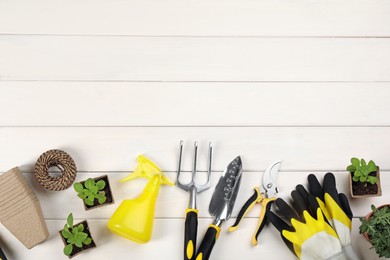 Photo of Gardening tools and plants on white wooden background. flat lay. Space for text