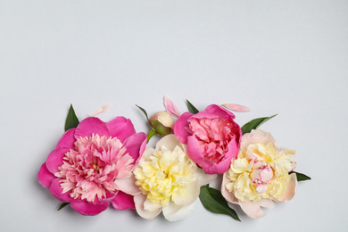 Photo of Beautiful fresh peonies and leaves on light grey background, flat lay. Space for text