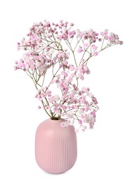 Photo of Beautiful gypsophila flowers in pink vase on white background