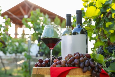 Composition with wine and ripe grapes on barrel in vineyard