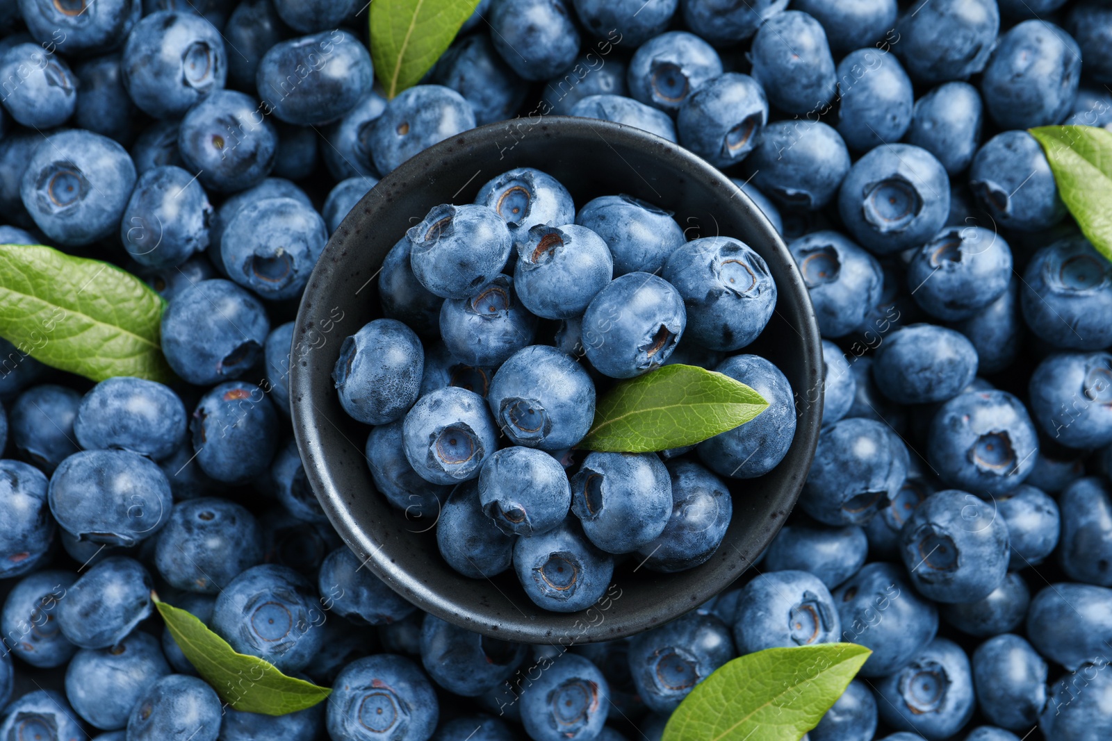 Photo of Tasty fresh blueberries with green leaves and bowl, top view