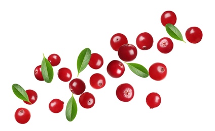 Image of Fresh red cranberries falling on white background