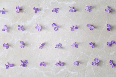 Photo of Flat lay composition with beautiful blossoming lilac on light background. Spring flowers