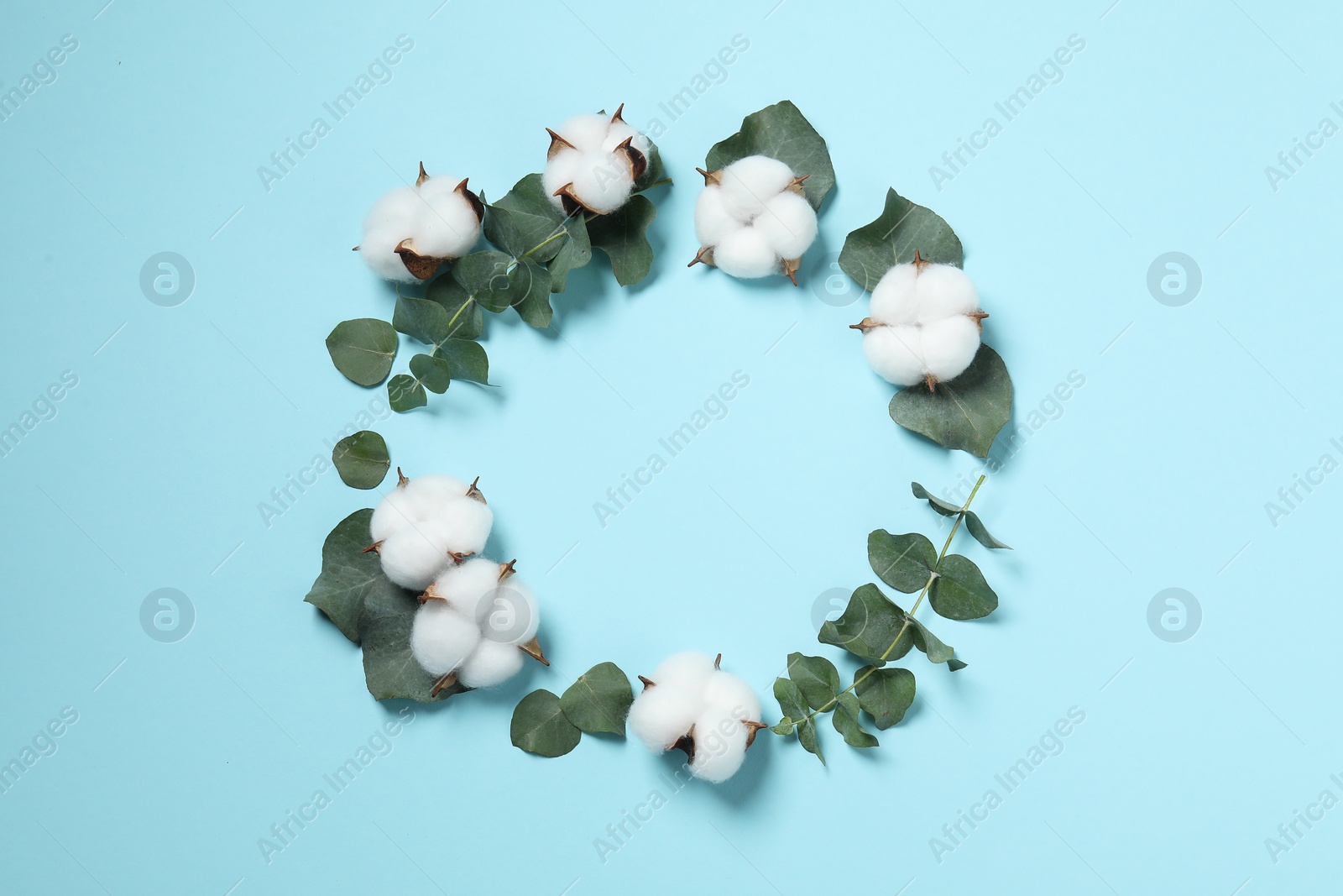 Photo of Frame of cotton flowers and eucalyptus leaves on light blue background, flat lay. Space for text