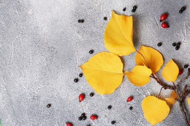 Photo of Branch with yellow leaves and berries on grey textured table, flat lay. Space for text