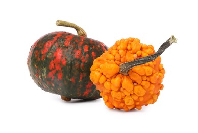 Photo of Two fresh ripe pumpkins isolated on white