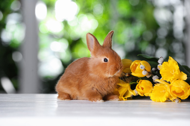 Photo of Adorable furry Easter bunny and flowers on white wooden table against blurred green background