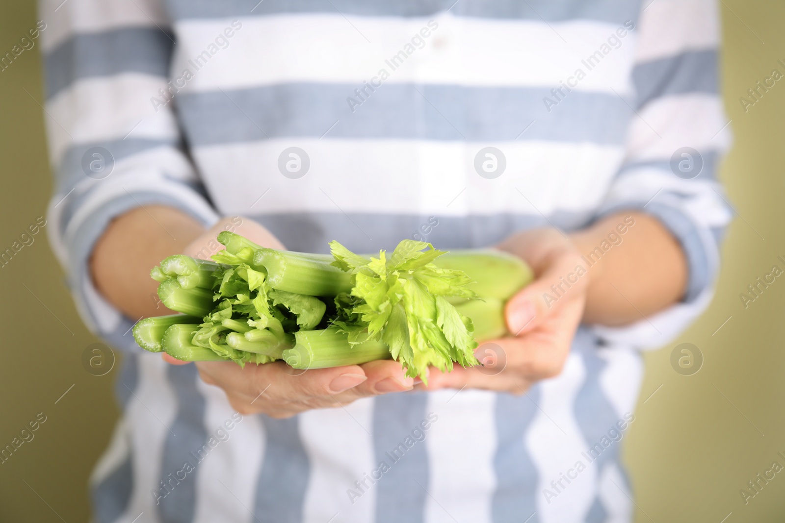 Photo of Woman holding fresh green celery on light background, closeup