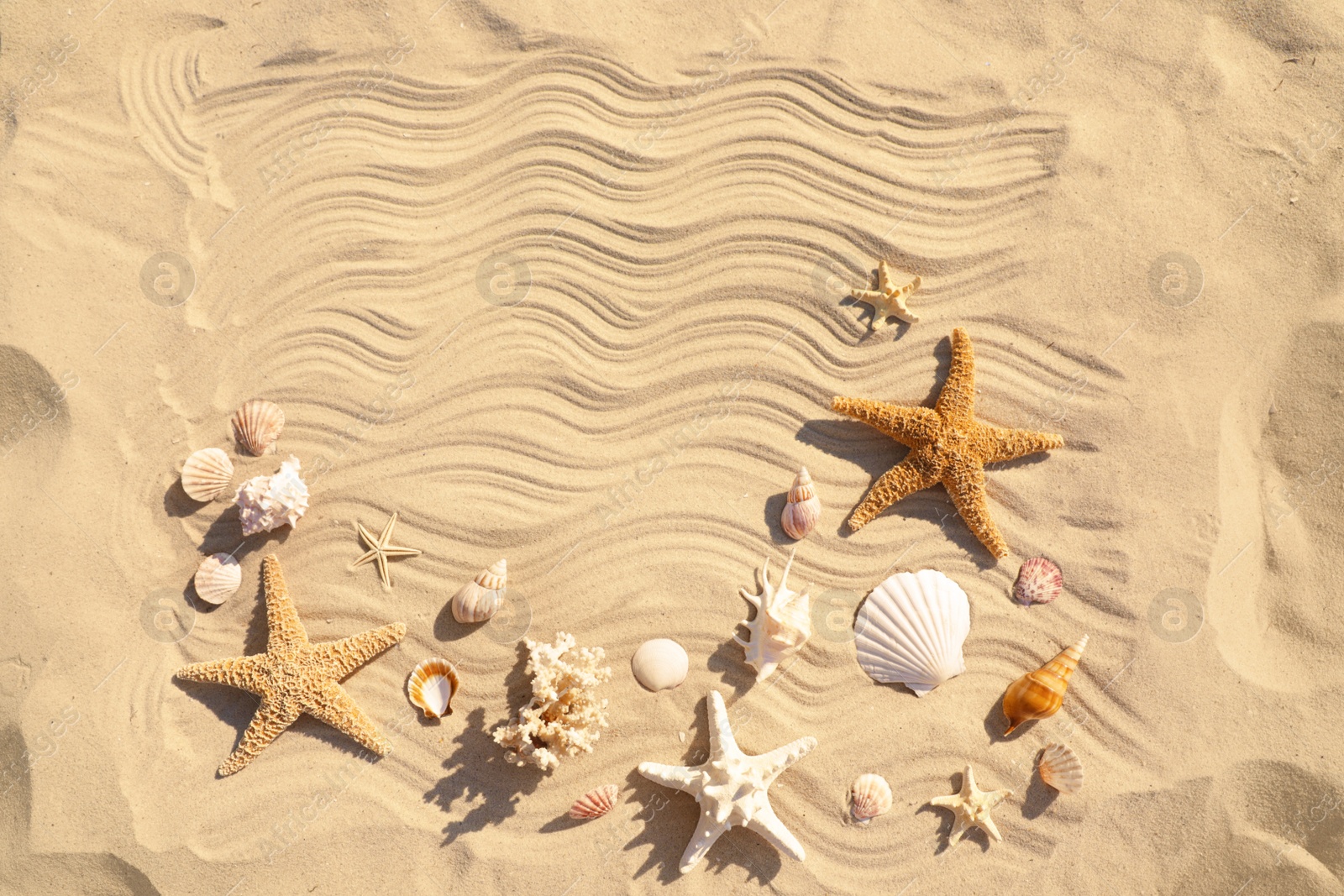 Photo of Starfishes and seashells on beach sand with wave pattern, flat lay. Space for text