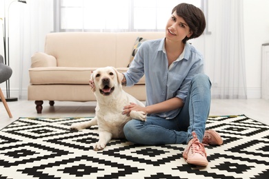 Adorable yellow labrador retriever with owner at home