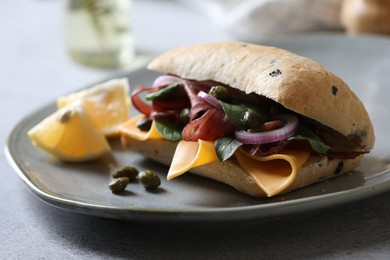 Photo of Delicious sandwich with bresaola, cheese and onion on light grey table, closeup
