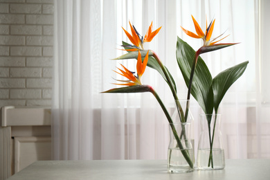 Photo of Bird of Paradise tropical flowers on white table, space for text