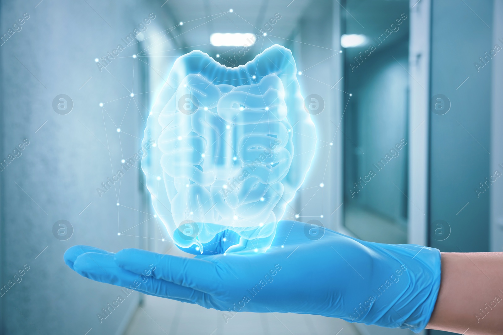 Image of Gastroenterologist holding virtual image of intestine indoors, closeup