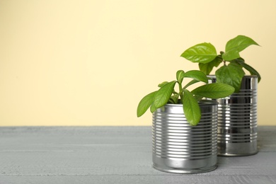 Beautiful houseplants in tin cans on light grey wooden table. Space for text