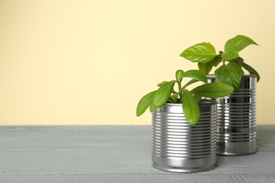 Photo of Beautiful houseplants in tin cans on light grey wooden table. Space for text