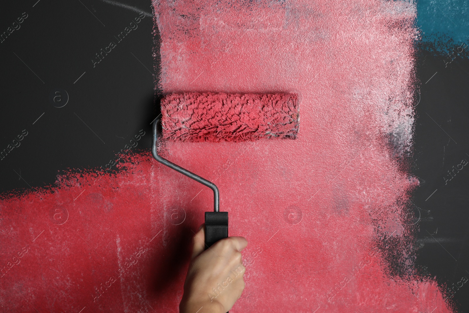 Photo of Woman painting grey wall with pink dye, closeup