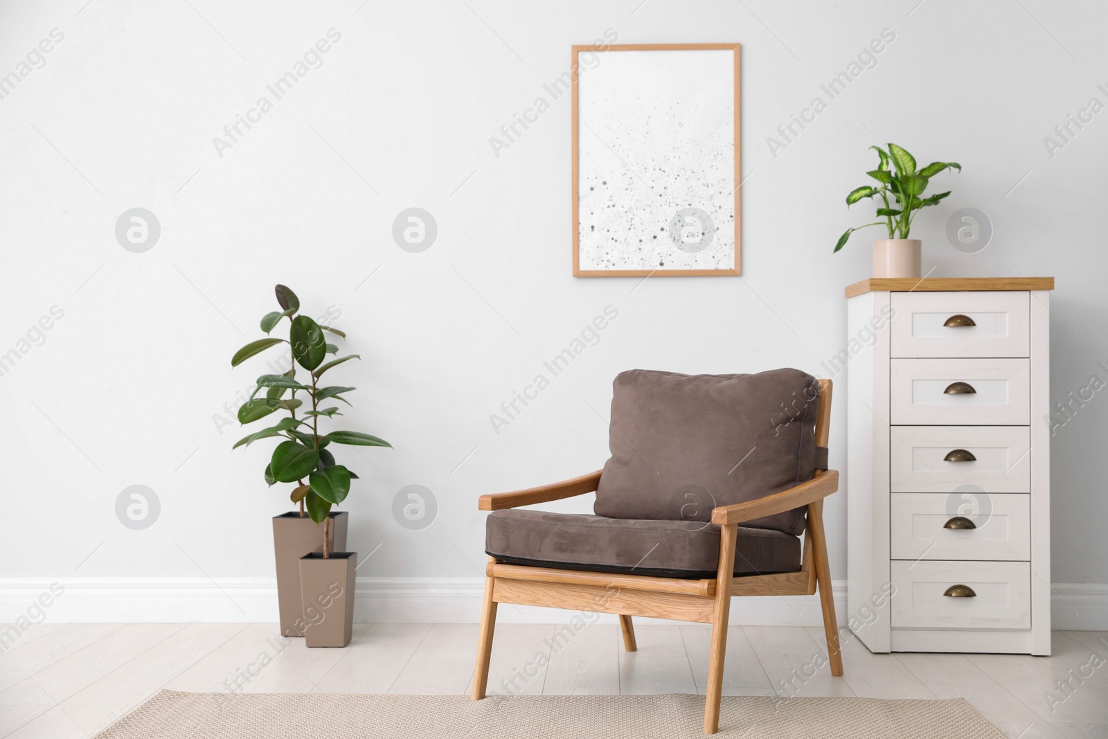 Photo of Beautiful home plants in stylish room interior