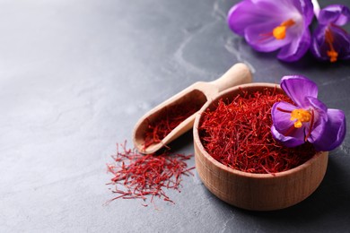 Photo of Dried saffron and crocus flower on grey table, space for text