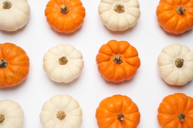 Different ripe pumpkins on white background, top view