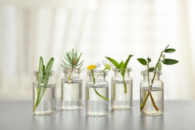 Glass bottles of different essential oils with plants on table