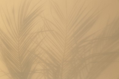 Shadows of tropical palm leaves on beige background