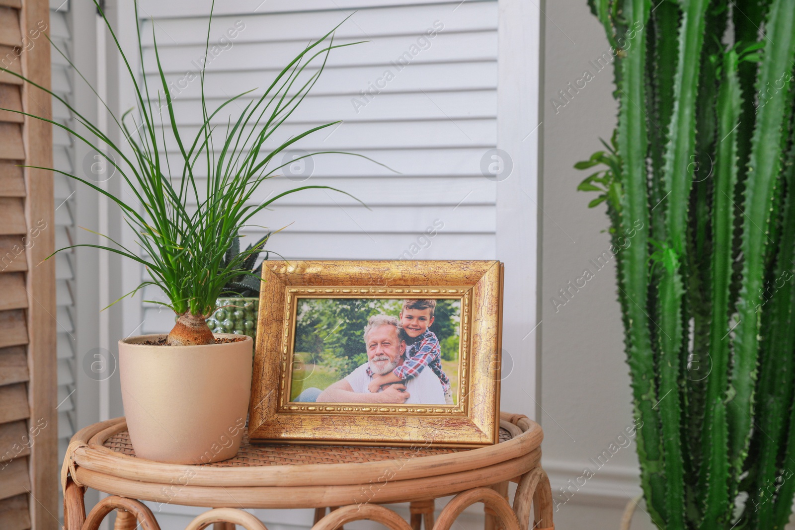 Photo of Framed family photo near houseplants on table in room