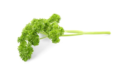 Photo of Fresh green curly parsley on white background