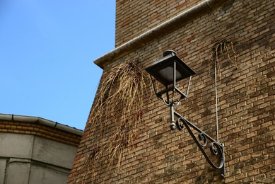 Photo of Vintage street lamp on brick wall of building, low angle view. Space for text