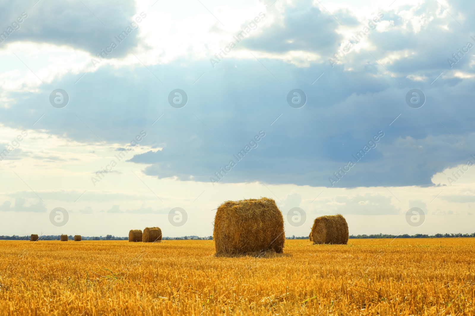 Photo of Beautiful view of agricultural field with hay bales