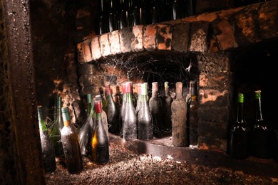 Many bottles of alcohol drinks with cobwebs on floor in cellar