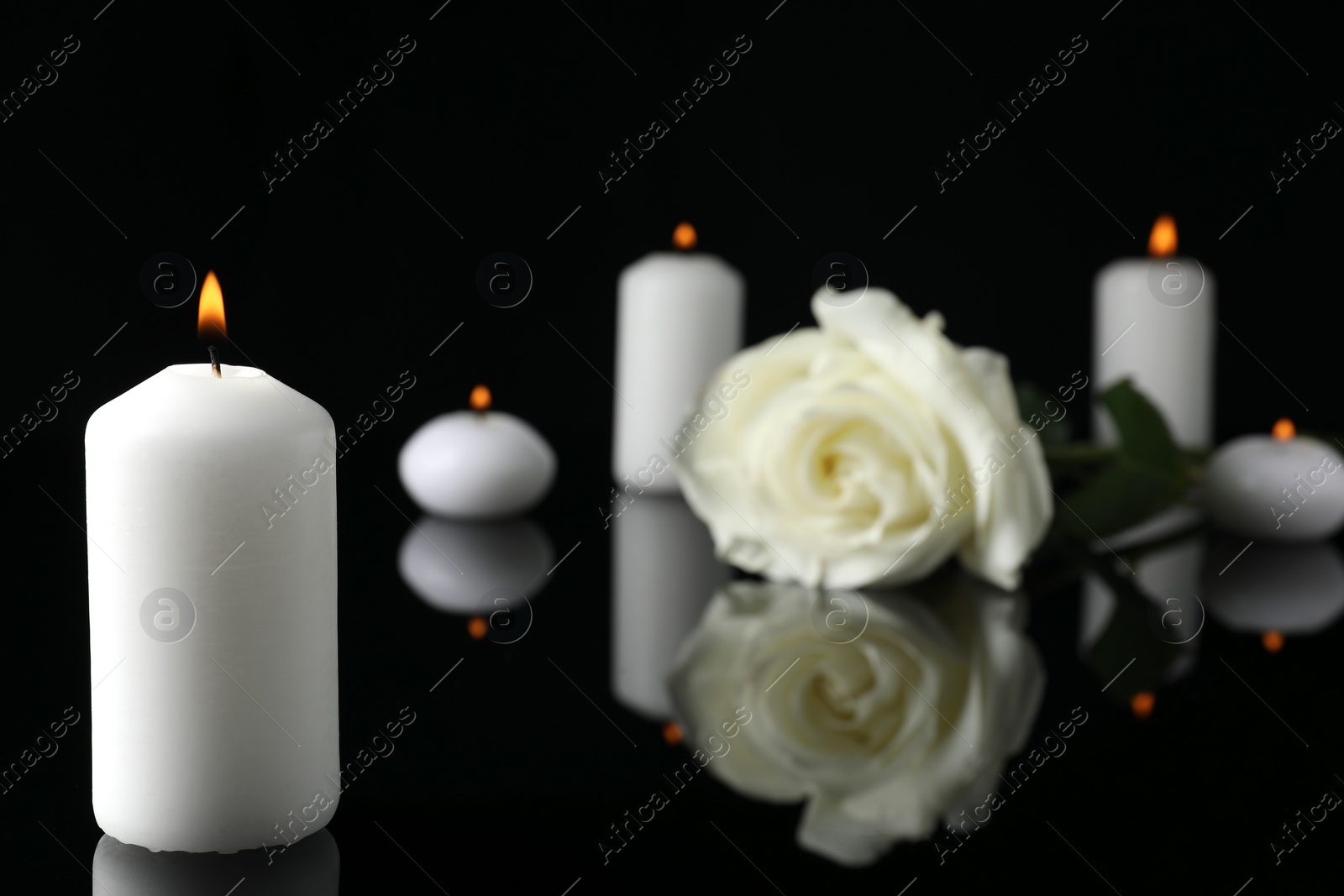 Photo of White rose and burning candles on black mirror surface in darkness, closeup with space for text. Funeral symbols