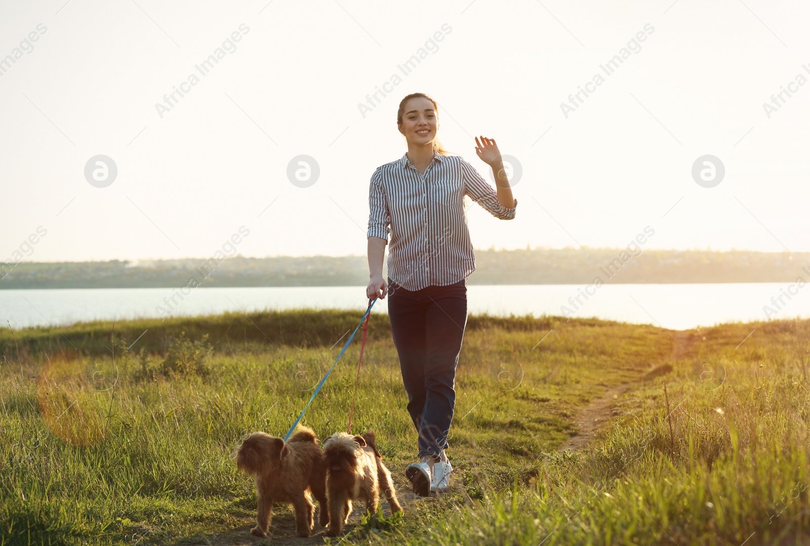 Photo of Young woman walking her adorable Brussels Griffon dogs near river